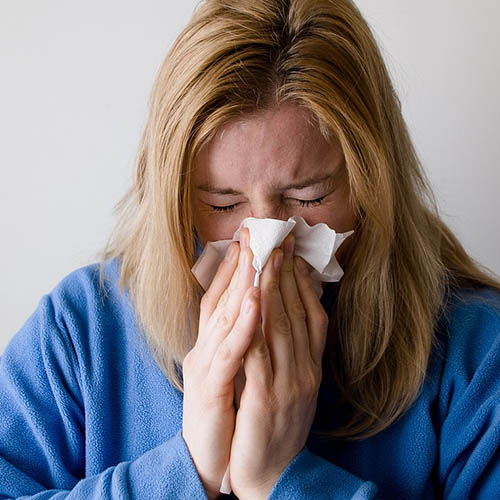 Vue interieure de la Pharmacie du Tilleul